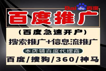 百度联盟推广网络覆盖的案例研究